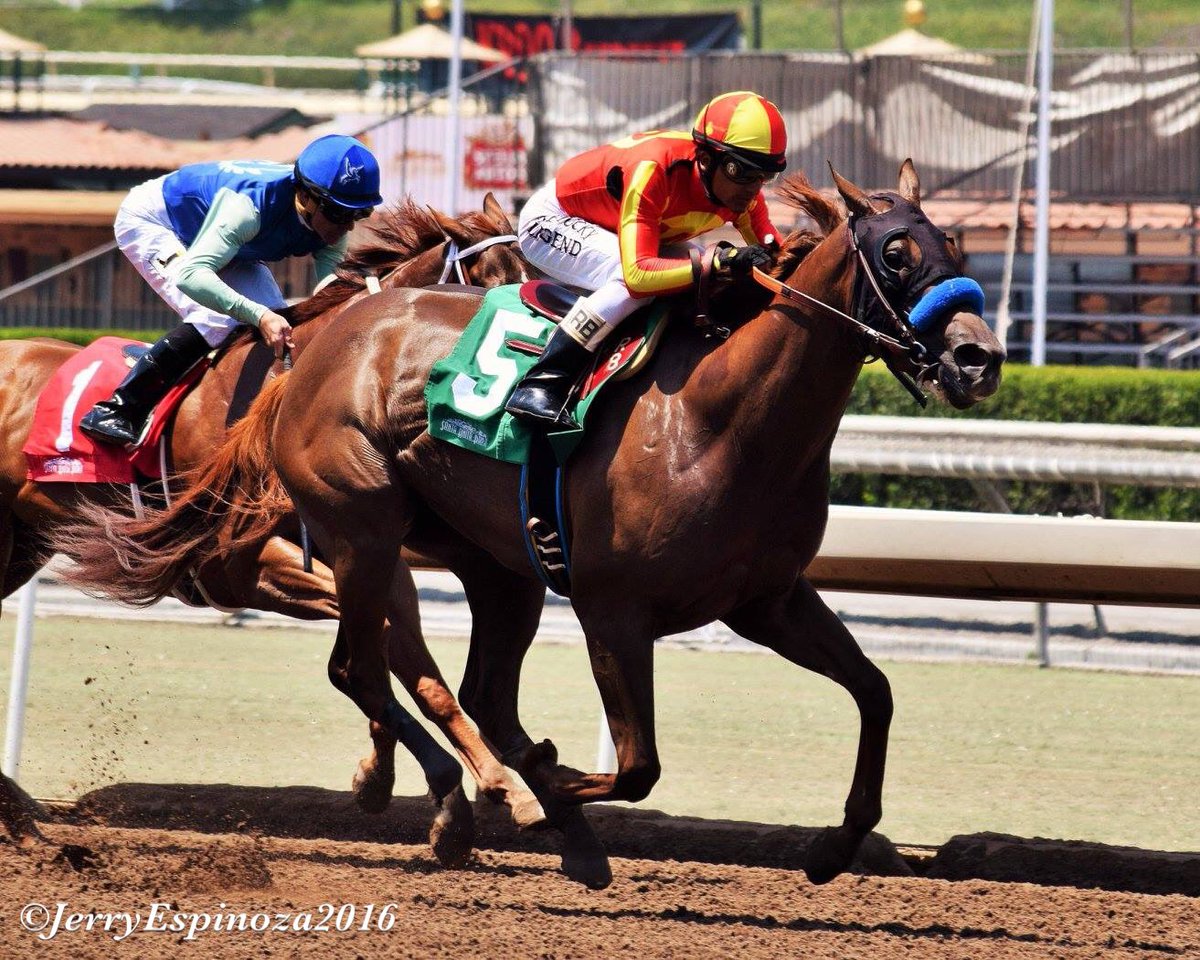 JEspinoza1634's tweet photo. Bob Baffert's Fantasy of Luck with Rafael Bejarano wins race 2 at Santa Anita 6/23/16 https://t.co/L0TchdOBYY