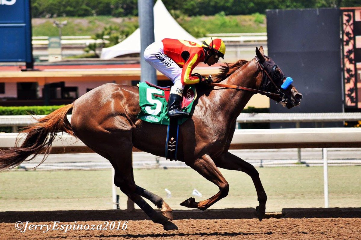 JEspinoza1634's tweet photo. Bob Baffert's Fantasy of Luck with Rafael Bejarano wins race 2 at Santa Anita 6/23/16 https://t.co/L0TchdOBYY