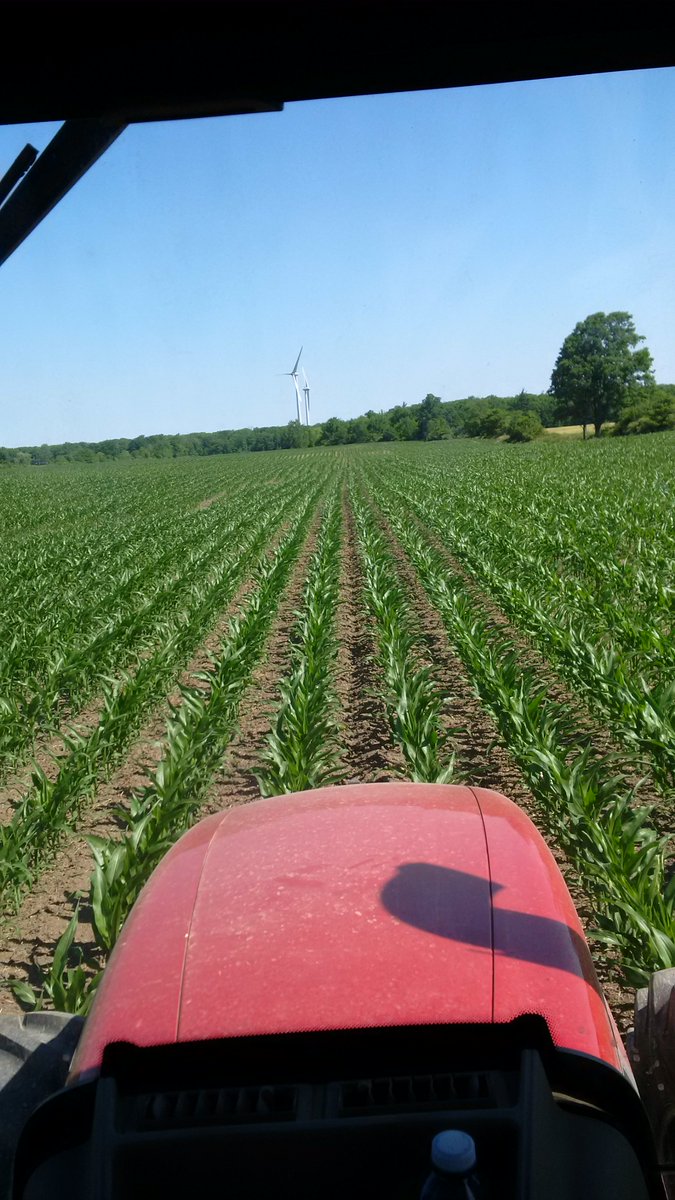 devinboverhof's tweet photo. 27% application happening in Niagara. Hopefully it's rains soon @AgrosprayL https://t.co/lFH7e2na4g