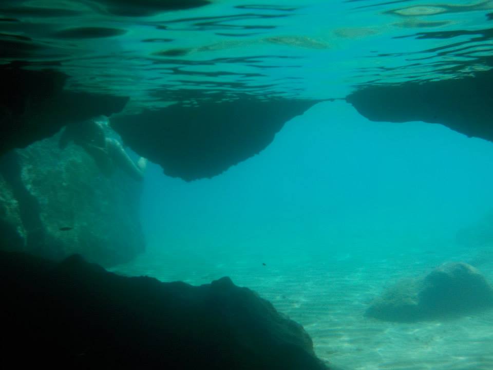 sun_sea2016's tweet photo. GITA IN BARCA TANTI TUFFI ALLA SCOPERTA DELL'ISOLA D'ISCHIA https://t.co/REDwLl5TET