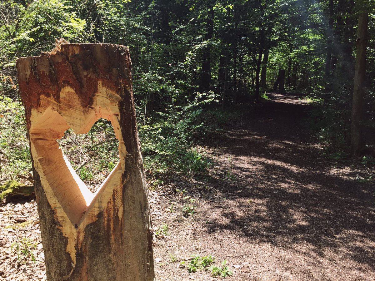 Shelby O'Connor tweet media