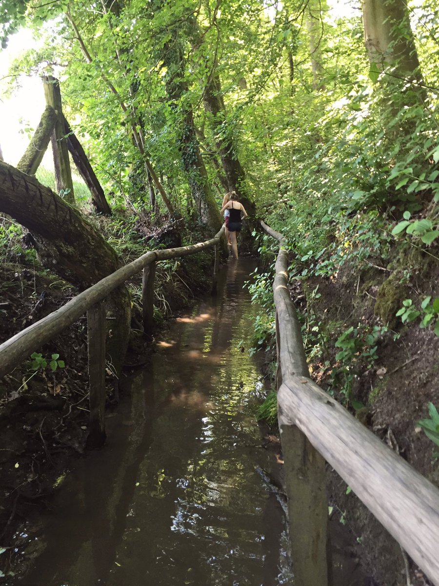 Shelby O'Connor tweet media