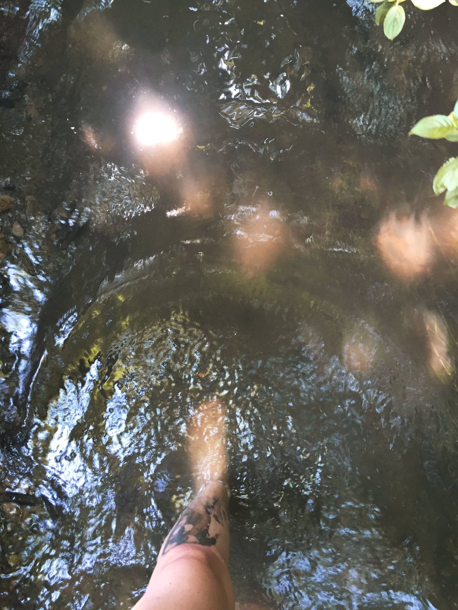 Shelby O'Connor tweet media