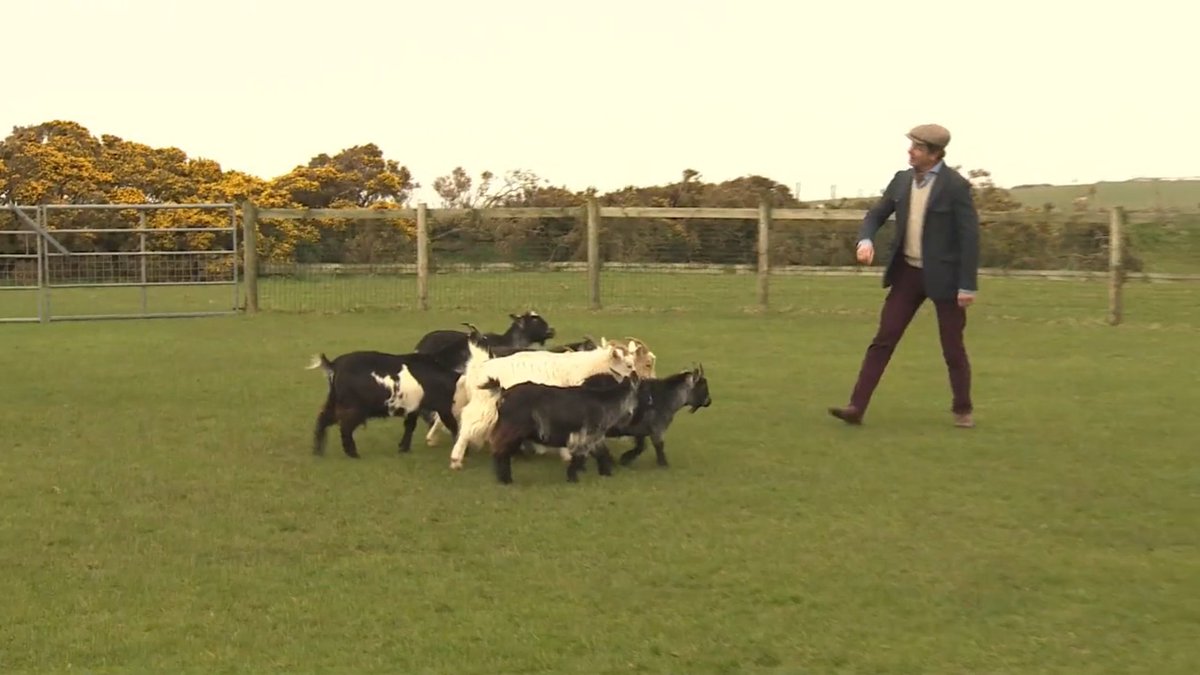 Update: Romancing Wales, part 2: ow.ly/df0V301BjGl  #RomancingtheGlobe