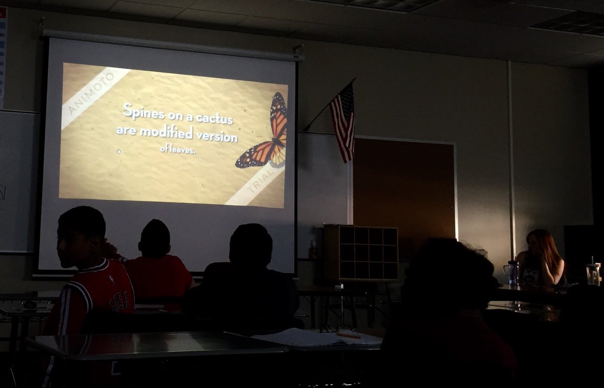 danielleflee's tweet photo. Showing off their @Animoto videos made for summer school ELA #hardworkpaysoff #sd308learns https://t.co/OmdIZsLP8W