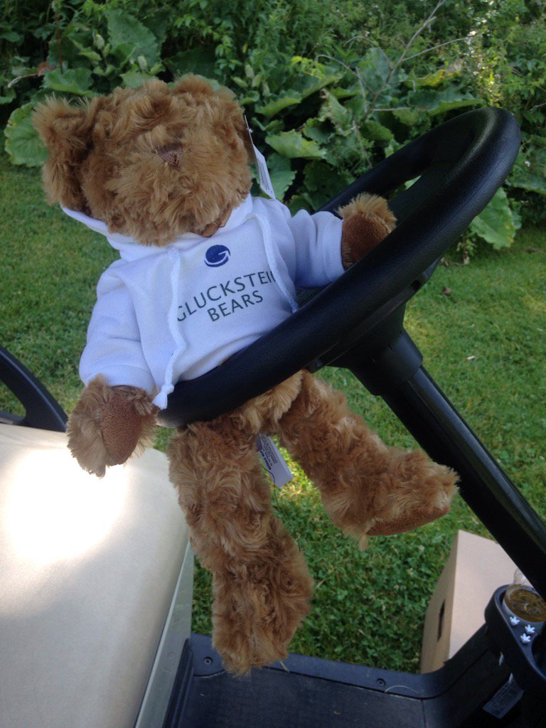 BrainInjuryTO's tweet photo. The @glucksteinlaw bear takes over! #birdies4braininjury https://t.co/tONLK0iMcG