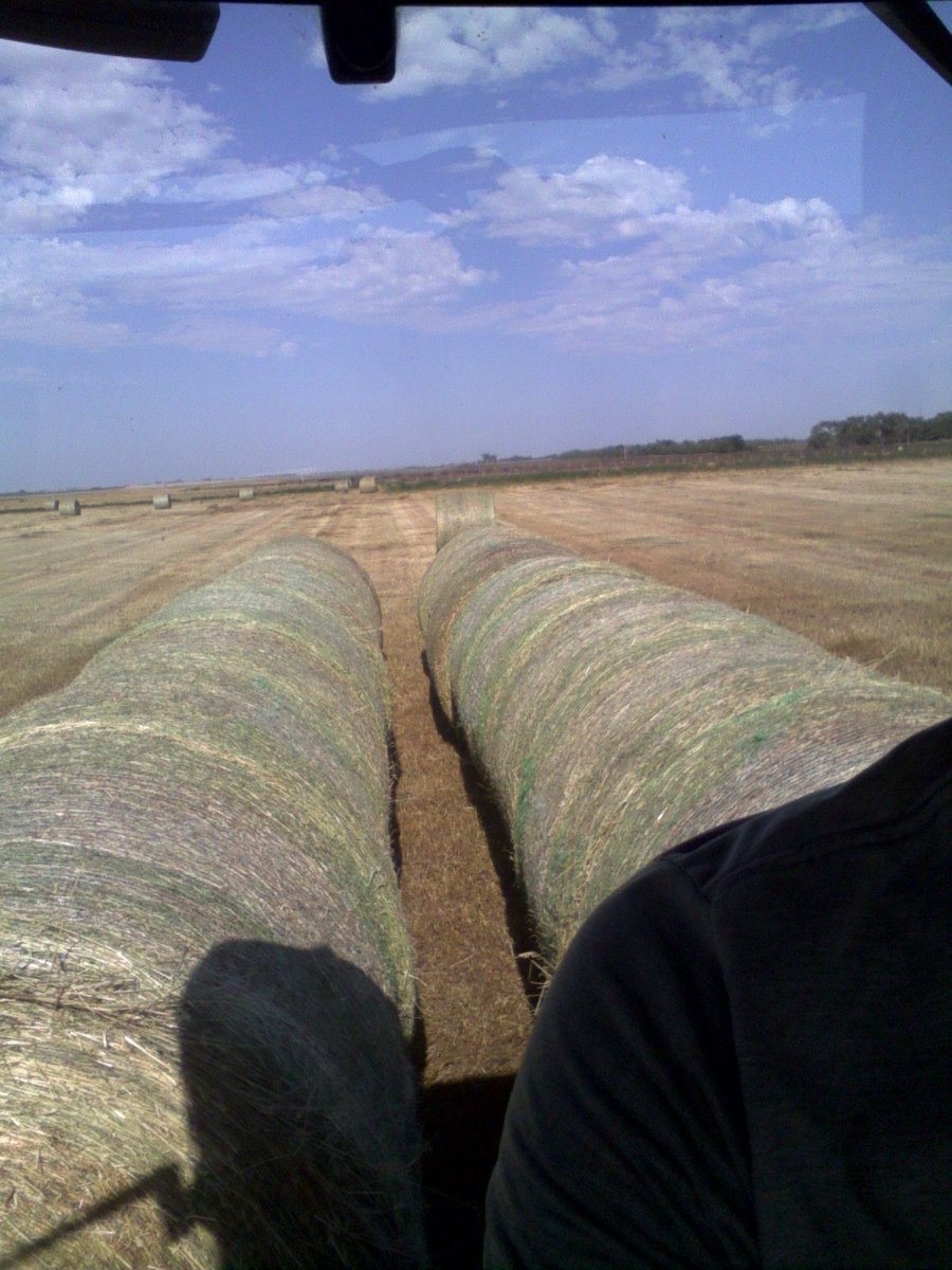 ShaneThiry's tweet photo. It's not the most fun job but at least it's a guaranteed clean day #hay16 https://t.co/pdtV4ym6bs