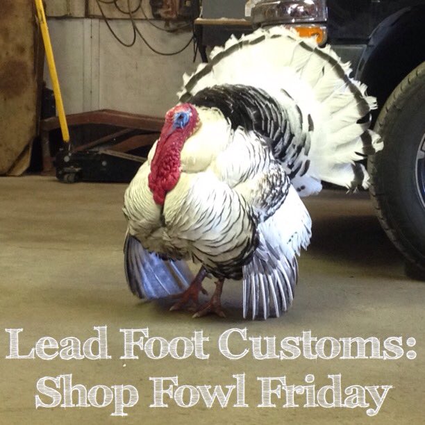 leadfootcustoms's tweet photo. People are more scared of the shop turkey than the shop dog. #turkey #leadfootculture #hotrods https://t.co/qYZ4o9wPF6