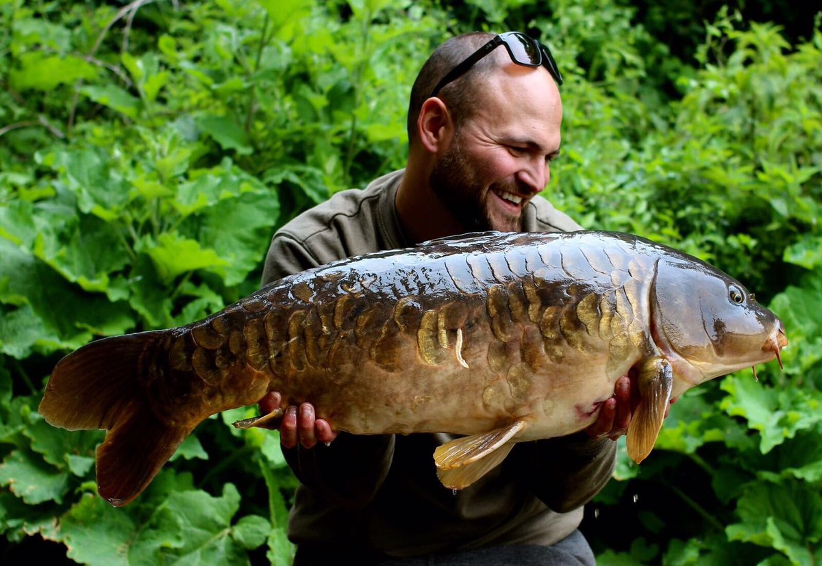 StickyOfficial's tweet photo. Manilla pop-up over floating pellets soaked in Cap-Oil keeps on producing for Craig Mortimer. #Manilla #CapOil https://t.co/SlfJmTUmrt