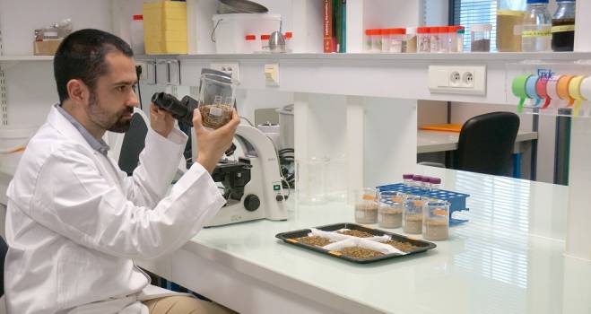 essec's tweet photo. #FoodTech : cinq innovations agroalimentaires à déguster @Ynsect @Pretapousser https://t.co/LviPWENLU0 https://t.co/cv2TKngVkx