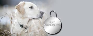 protector_pet's tweet photo. How To Generate a Minimum of $1,000 a Month

more info:https://t.co/JGaRSFVGGA

  #petsOwner #MLM #WorkFromHome https://t.co/X3vRbobnnk