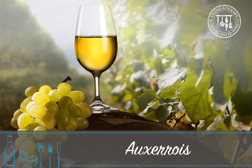 studio_gourmet's tweet photo. #Vinos En Limburgo, Holanda se pueden encontrar vinos afrutados como la especialidad local: Auxerrois. https://t.co/0BFsOdMMQP