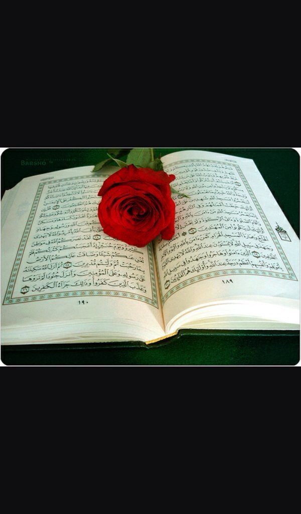 zasdf10000's tweet photo. اللهم ثبت حروف القران في قلبي وآنس بي وحشة  الدنيا ولااخرة واجعله جلاء همي وحزني https://t.co/aeOmTJCHGc