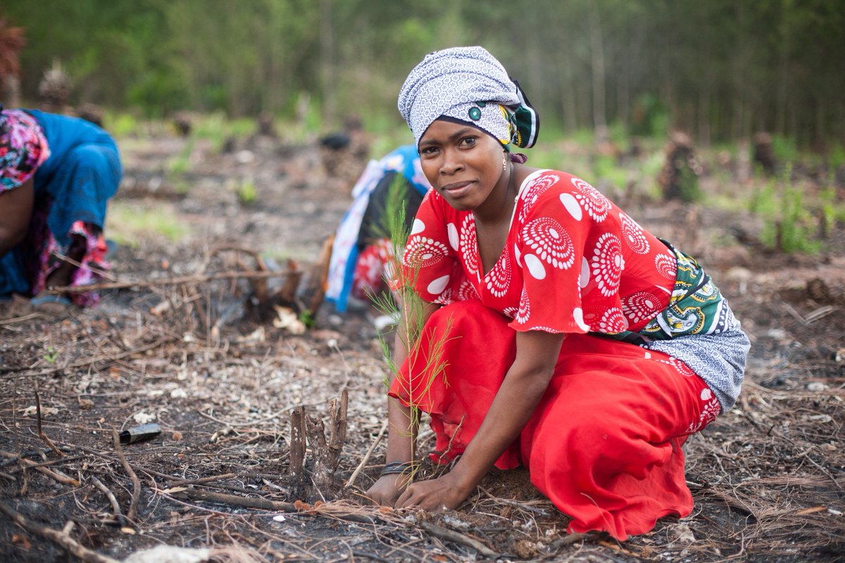 CARE's tweet image. In 2016, #ElNiño will affect more than 60 million of the most vulnerable people around the world.