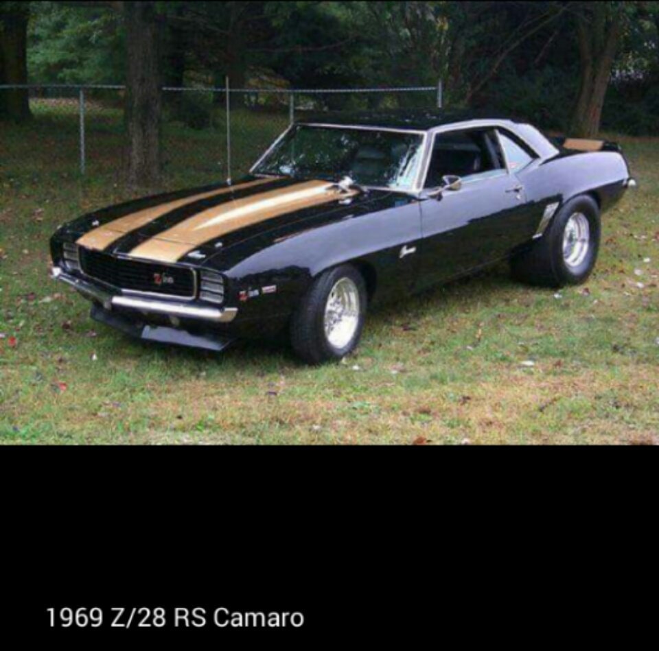 sallyjean39's tweet photo. Oh !!!! be still my muscle car obsessed heart 💖💖💖 😍😘💋 #varoom 
#1969 Z/28 #RSCamaro 
@melsweeten https://t.co/De5UEaNgzH