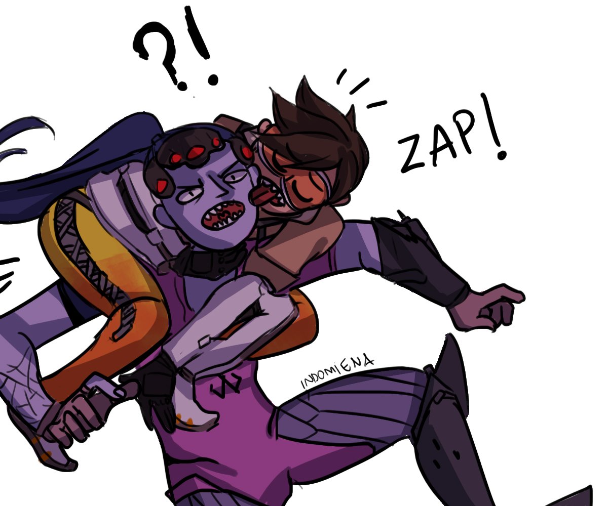 Widowtracer Widow Tracer Twitter