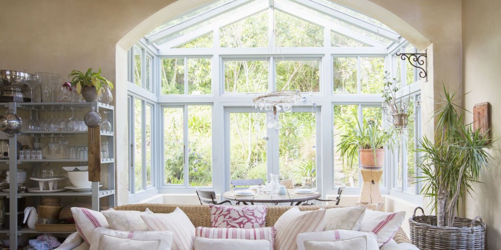 Acorn Windows tweet media