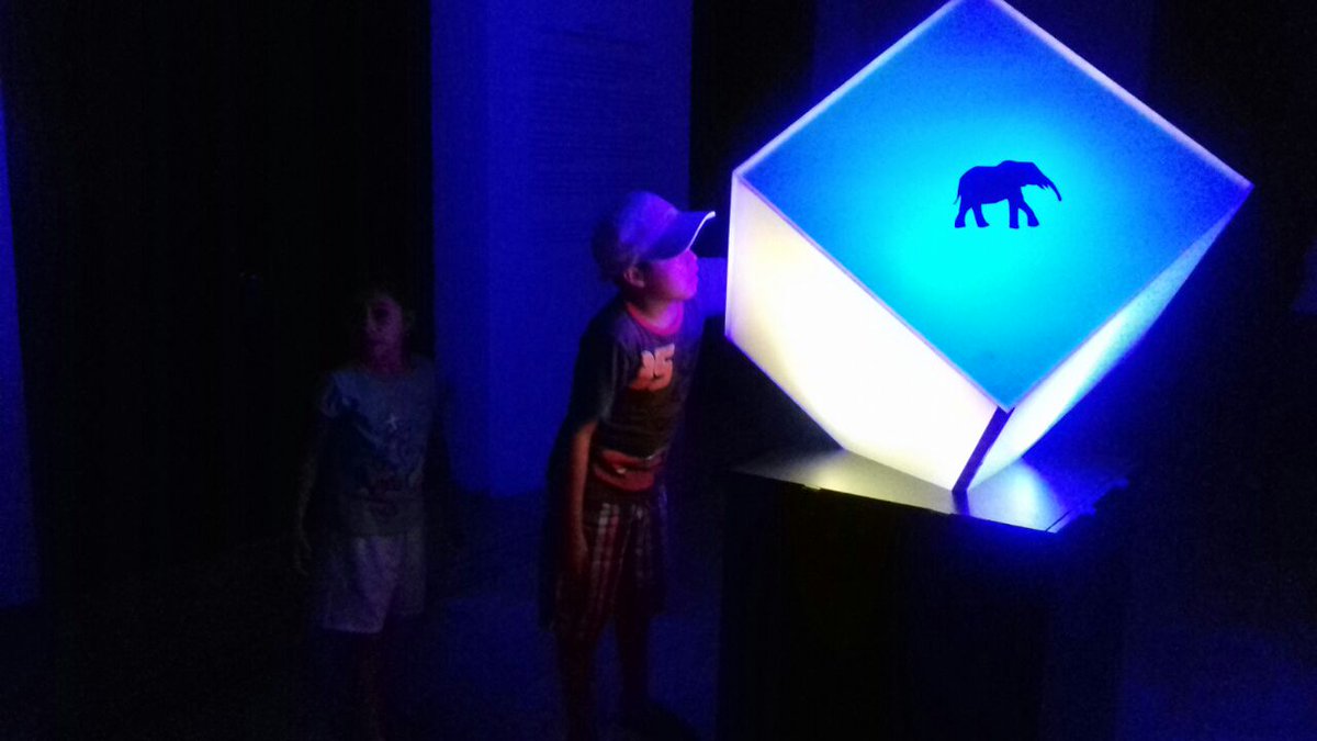 MeridaesCultura's tweet photo. Arte contemporáneo que crea conciencia ecológica. "El Cubo", Museo de la Ciudad. Sábado 12 hrs. Ve y toca la obra https://t.co/6IPqtpIRS5