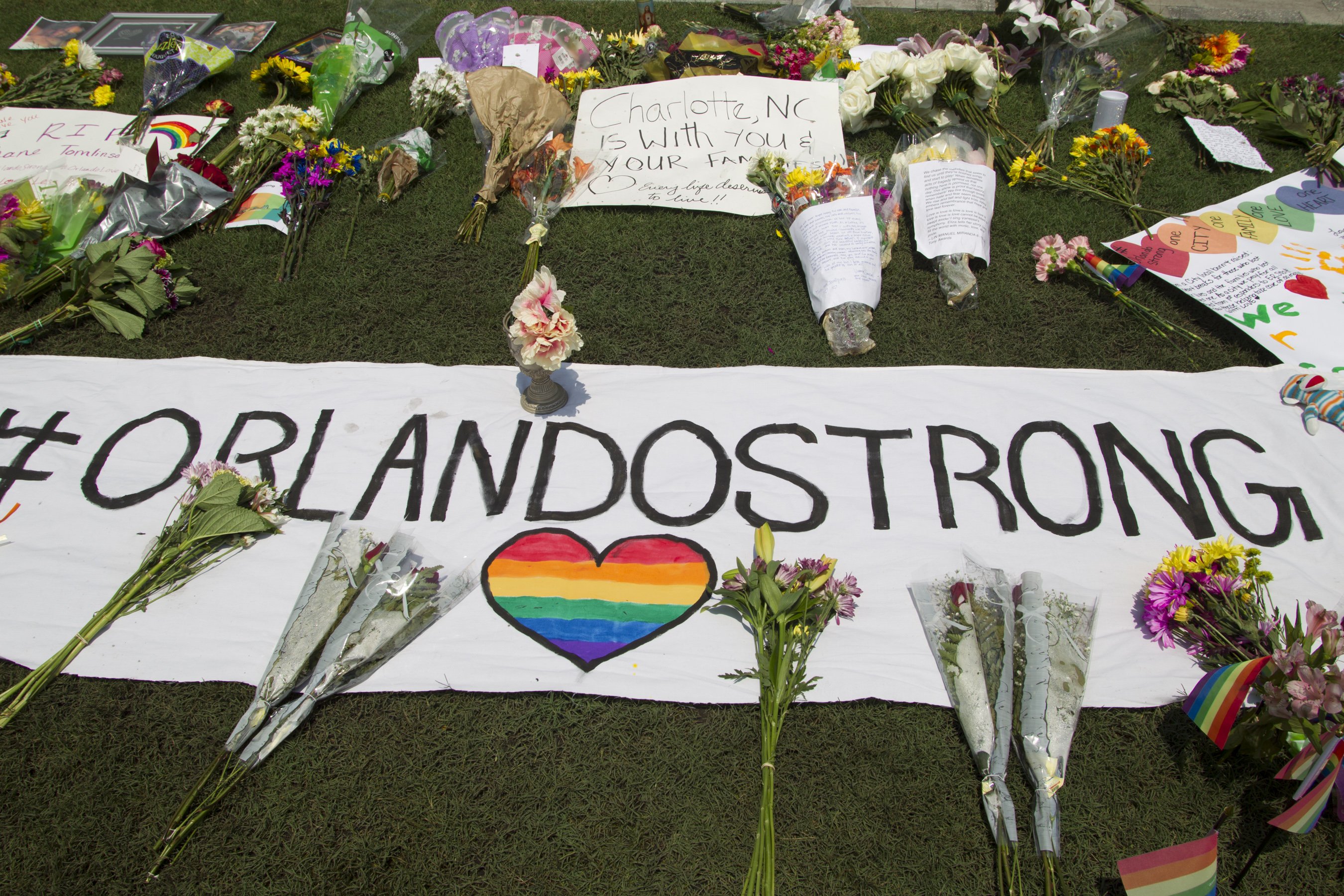 Orange County Tragedy: A Family'S Devastating Loss - s872xol