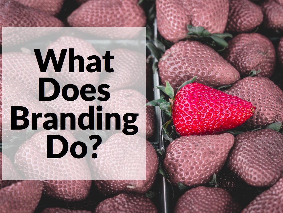 _Yooniko's tweet image. Is A Personal Brand Important For Me? buff.ly/1UUmz20