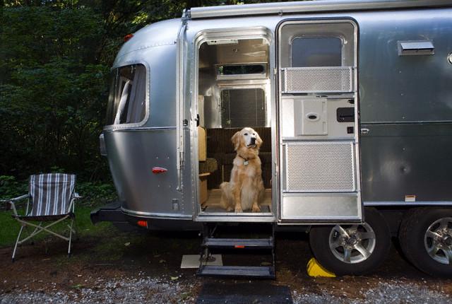 This is our idea of #TakeYourDogToWorkDay! Tips for RVing with pets: bit.ly/28RFY3e