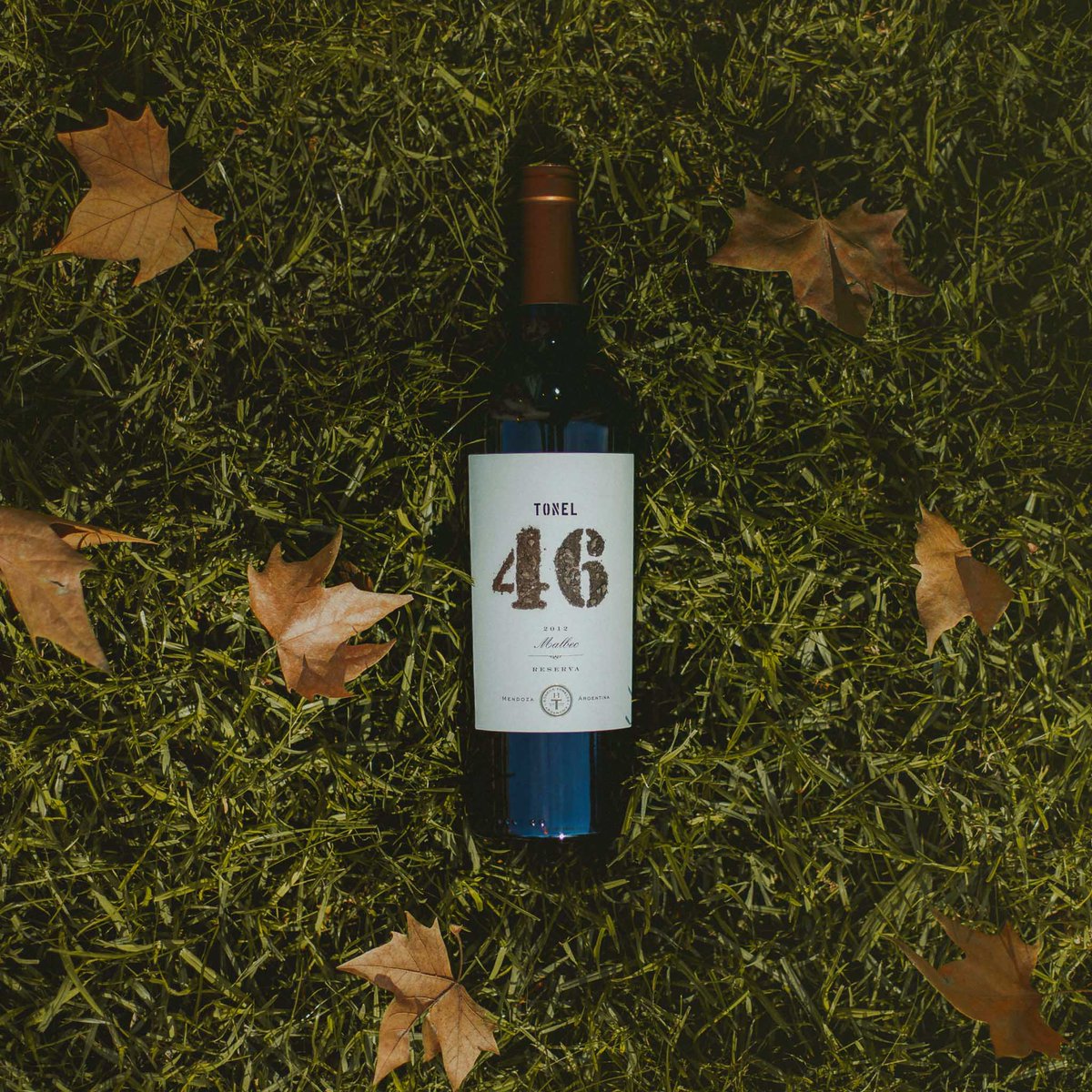 BodegaToneles's tweet photo. Un maridaje armónico: Tonel 46 con las tonalidades del otoño mendocino. 🍂 🍷 https://t.co/KJhTHoh2o1
