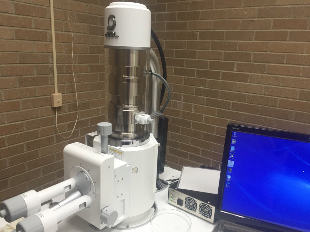 Newly installed SEM at UCA's Lewis Science Center.