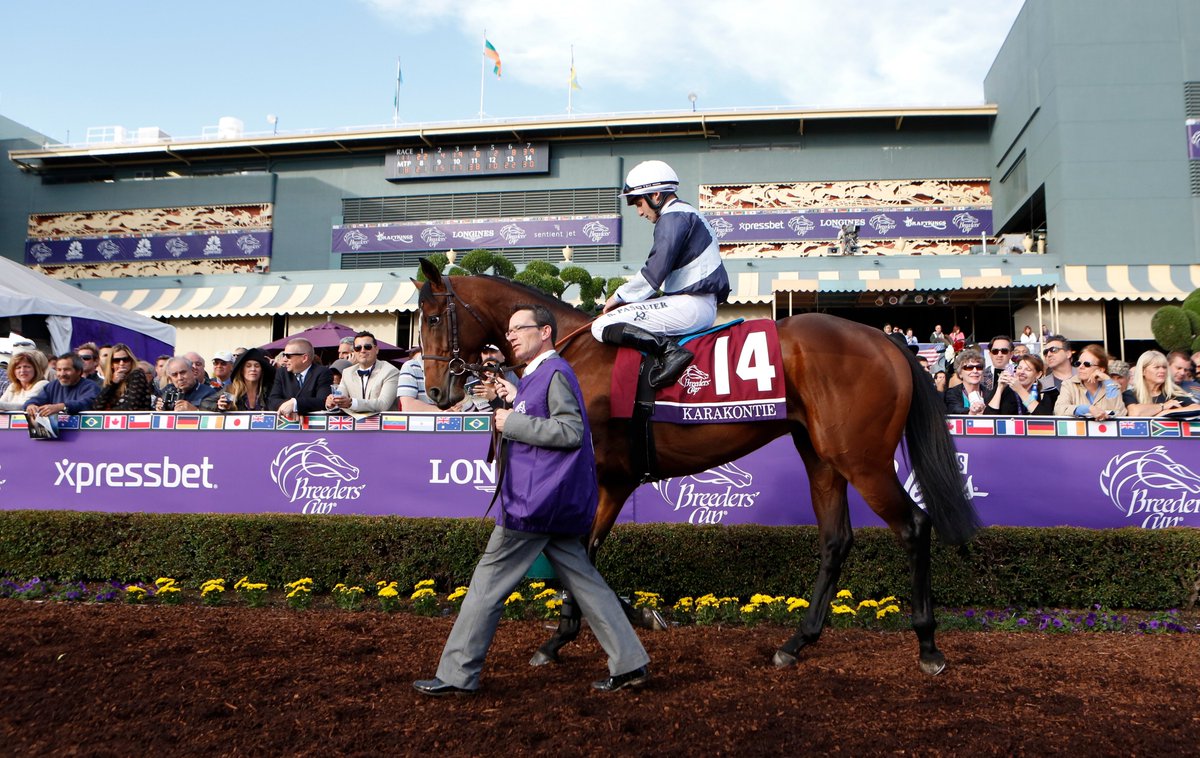 Insurance_Dude's tweet image. Anxious for Breeder's Cup World Championships in November. #Entry sot.ag/t/Dh