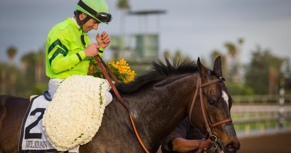 Insurance_Dude's tweet image. Hoppertunity awaits improving Melatonin in Gold Cup @santaanitapark #WinAndYoureIn #Entry - sot.ag/59rzR