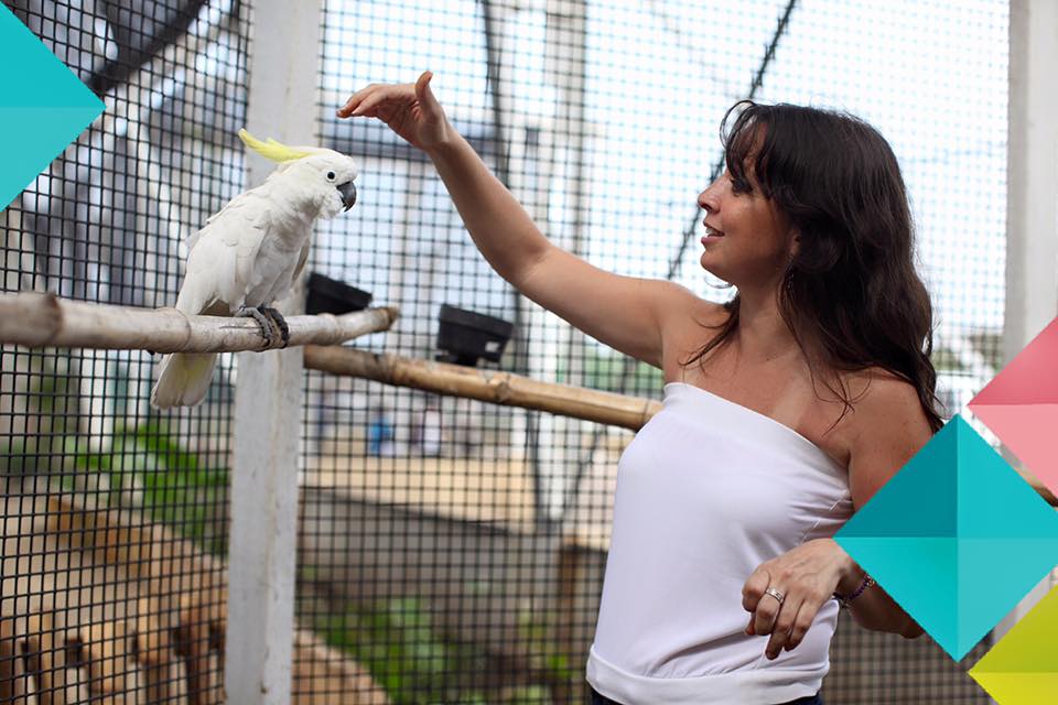 Ya es #Viernes los invitamos a visitar el Parque Bicentenario de Cd. #Madero y convivir con especies e el Aviario