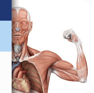 download anatomy and physiology cliffs quick