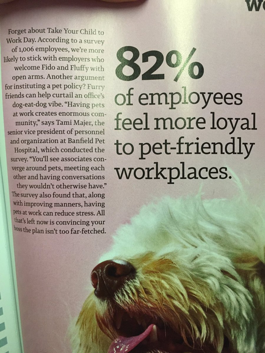 lacybailey's tweet photo. I've never agreed more w/an article! Will this gonna be the next perk 4 @CamdenLiving ?!?! 😜🐶 @jess_tindall https://t.co/dAjbh8mCG9