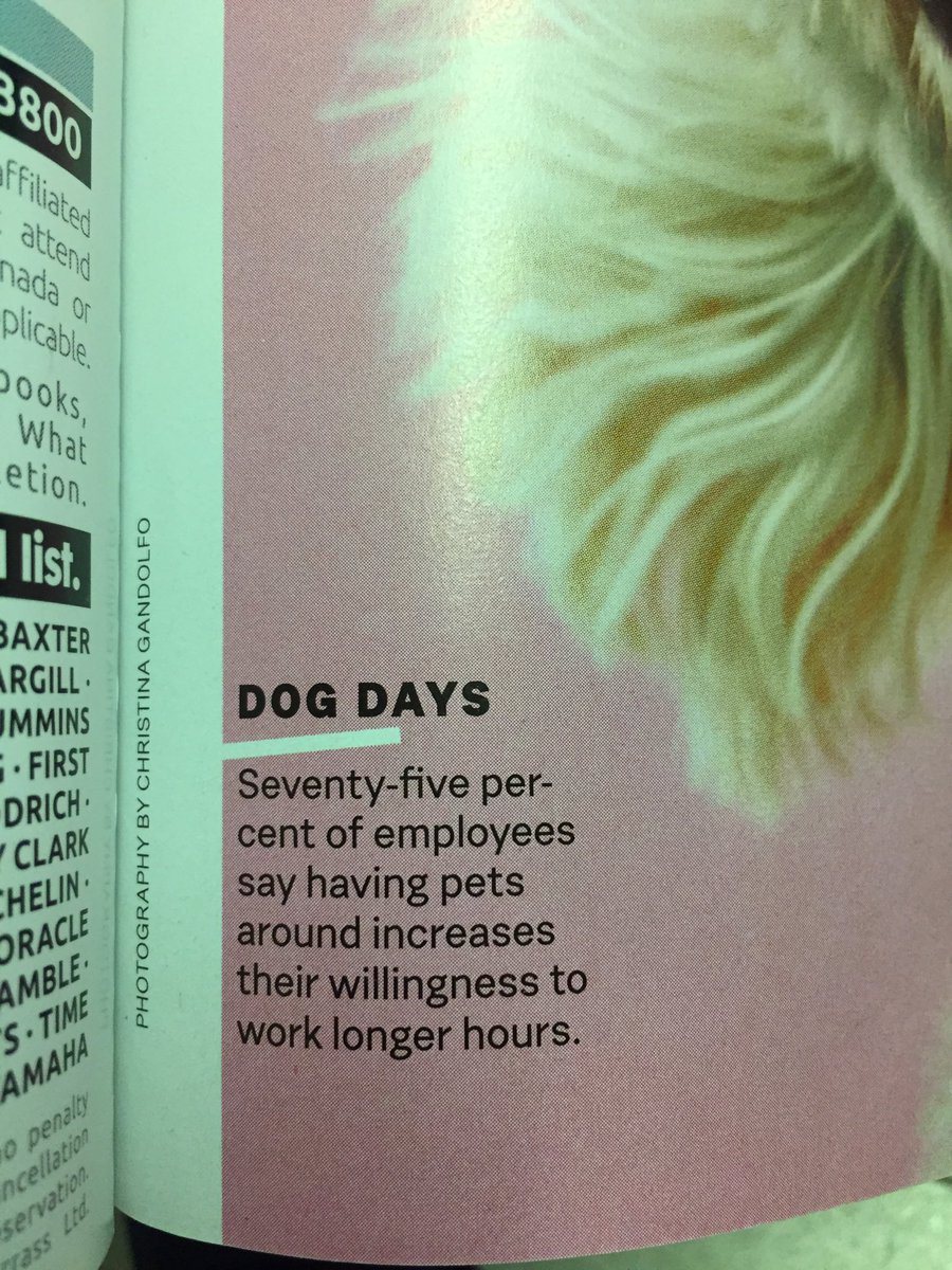 lacybailey's tweet photo. I've never agreed more w/an article! Will this gonna be the next perk 4 @CamdenLiving ?!?! 😜🐶 @jess_tindall https://t.co/dAjbh8mCG9
