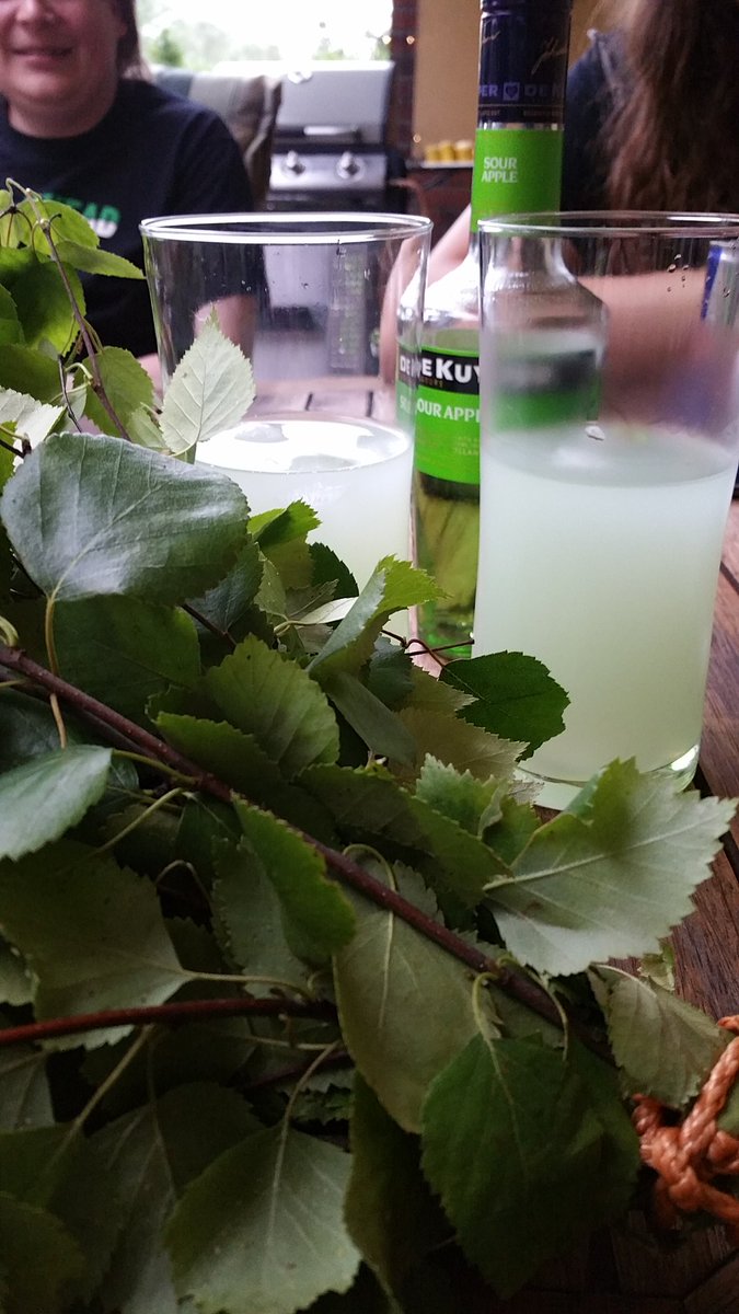 Rousku_97's tweet photo. Good Jussi! #midsummer #birch #juhannus #londring #dekuyper https://t.co/W5pu1qKuwb