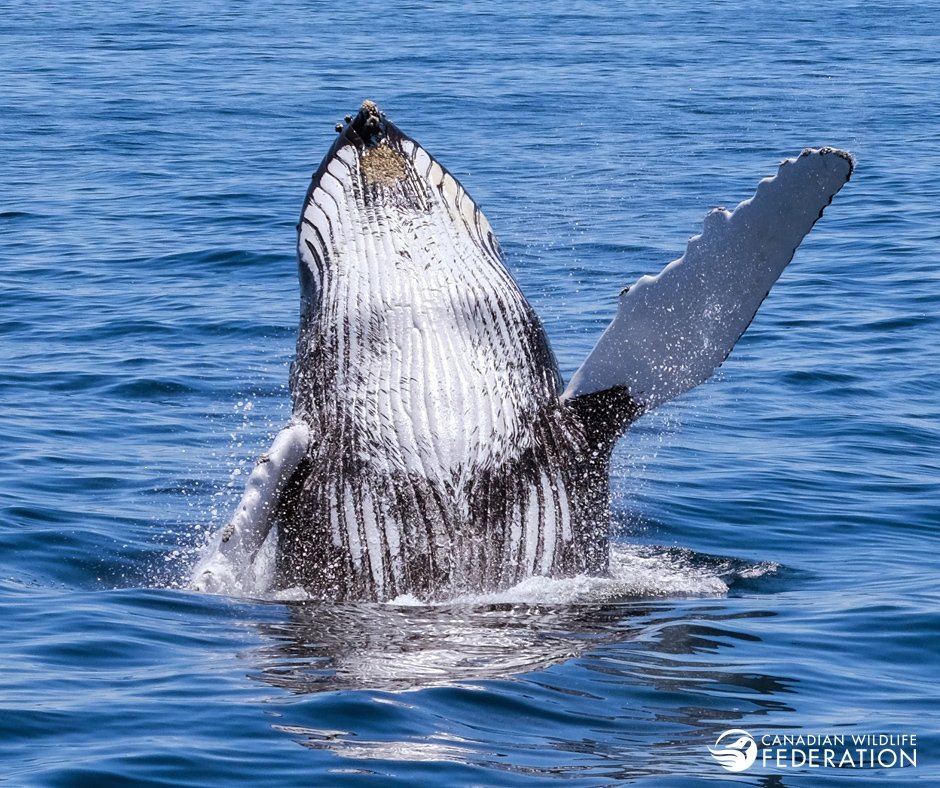 Say goodbye to your colleagues. The weekend is here! 📷: Robbie Shade

#TGIF #FridayFeeling
