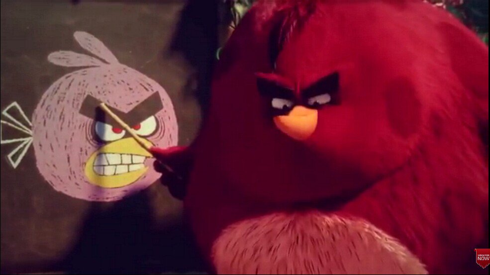 TerenceTheBird's tweet photo. Grrrrrrr (I'm teaching this birds about anger. Well, I'm trying) #AngryBirdsMovie https://t.co/DuiaaXOUdy