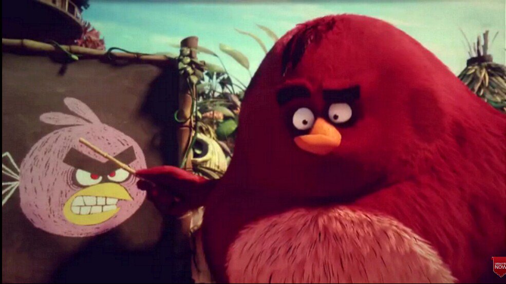 TerenceTheBird's tweet photo. Grrrrrrr (I'm teaching this birds about anger. Well, I'm trying) #AngryBirdsMovie https://t.co/DuiaaXOUdy
