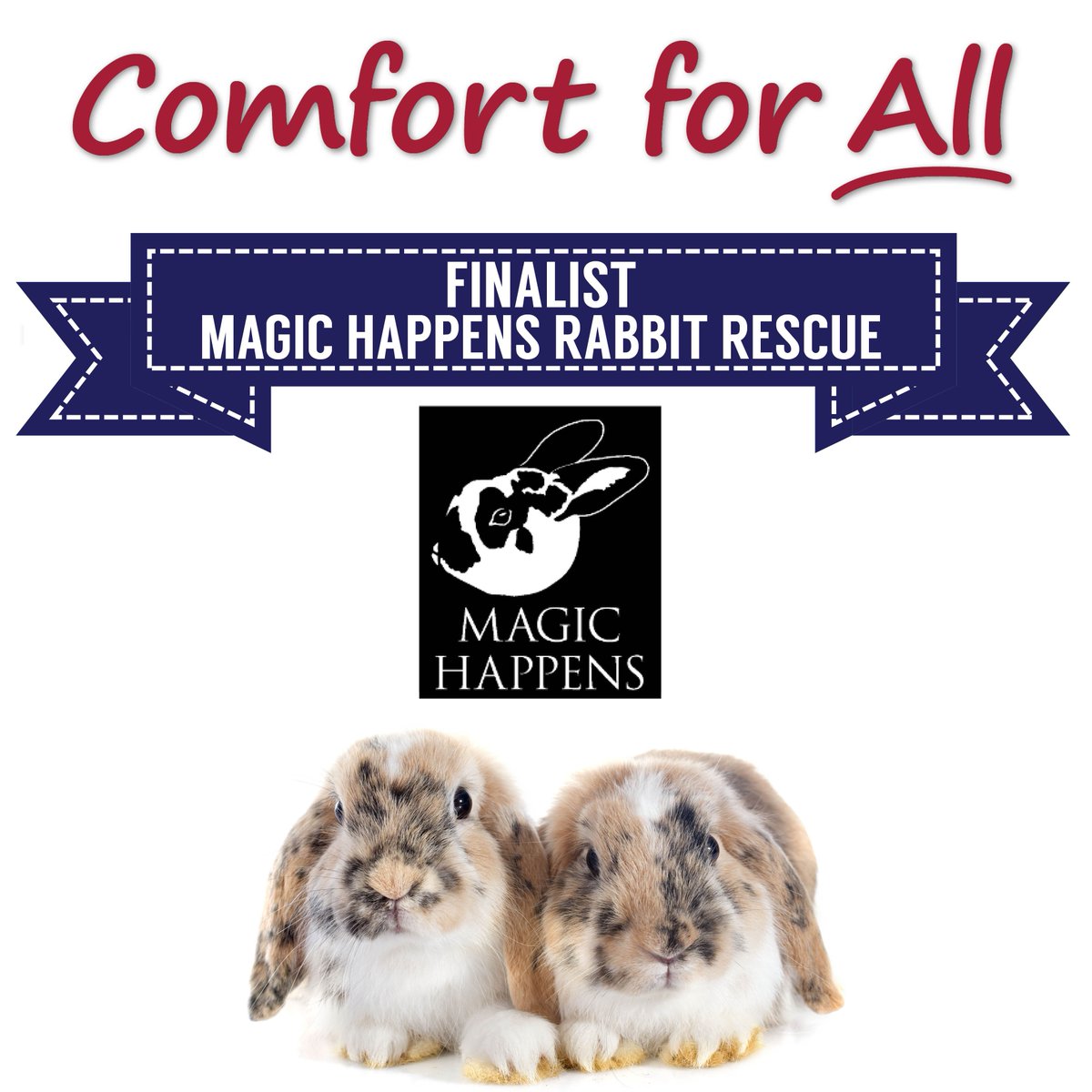 nola chinchilla rescue