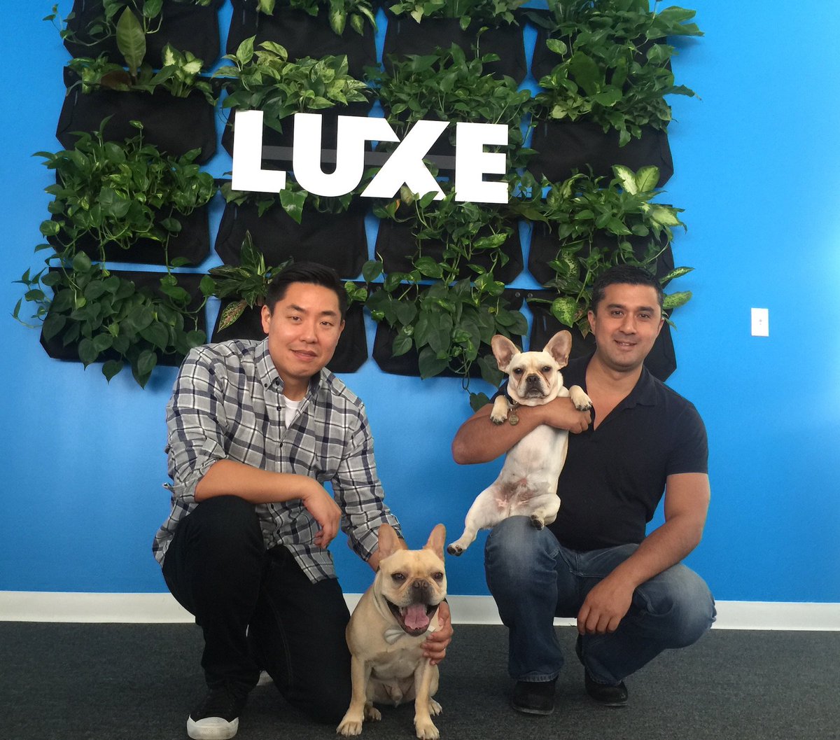 luxevalet's tweet photo. Every day we hang with Oliver &amp; George, but today we celebrate it 🐶 ❤️ #TakeYourDogToWorkDay @curtislee @rochoy https://t.co/usMmmS3d6b