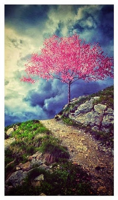 BobDeMarco's tweet photo. 7 Ways to Cope with Dementia Patient Agitation, Aggression, and Meanness
https://t.co/wPbeESY9VT https://t.co/v5ZrkenpWp