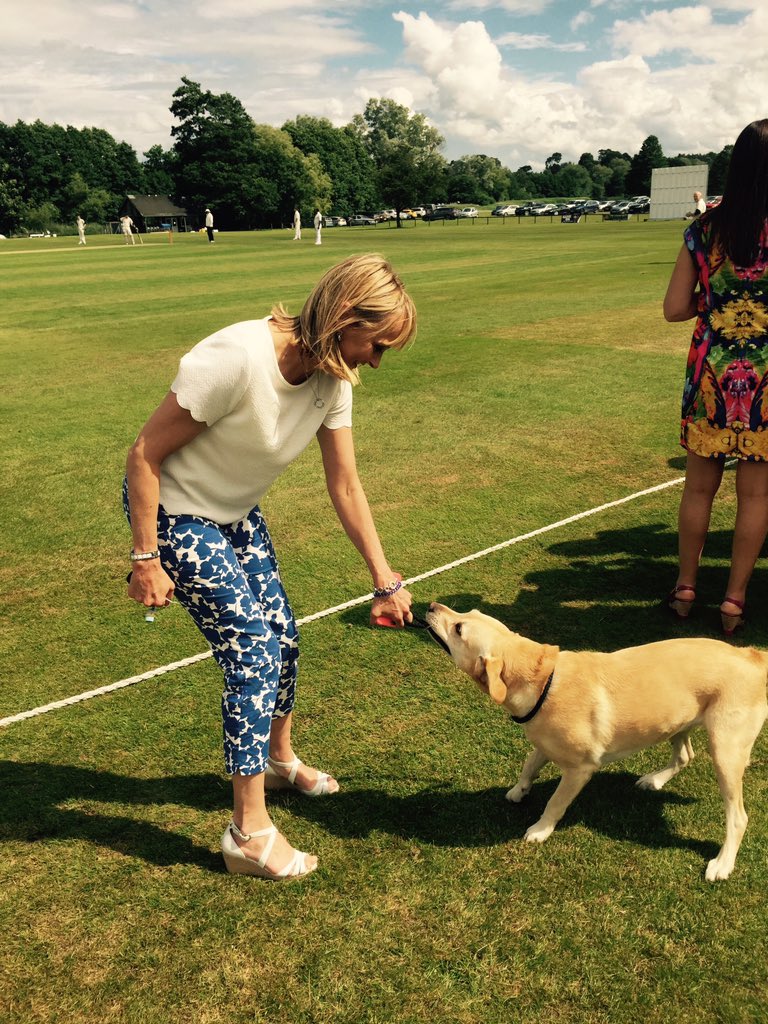 stuchbutty's tweet photo. @WalkswithWaffle was watching the Lord Taverners Cricket match today! https://t.co/j4Sff3XLGp