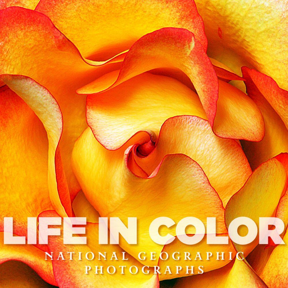 NatGeoStore's tweet photo. Gain an entirely new perspective on colors &amp; their qualities.
https://t.co/kS0r0i5ajs https://t.co/l5GThVymPH