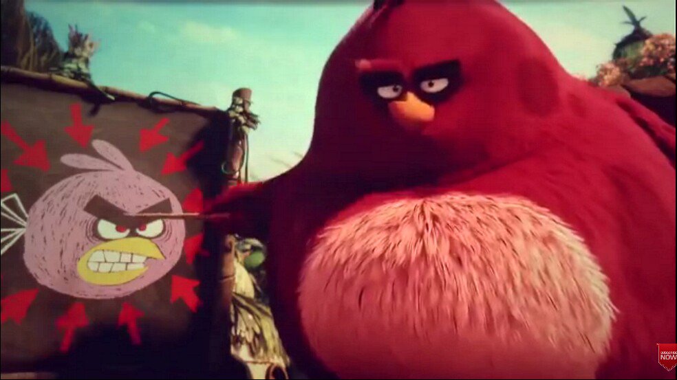 TerenceTheBird's tweet photo. @TerenceTheBird Grrrrrrr… (My second tentative…) https://t.co/5afn4OBsav