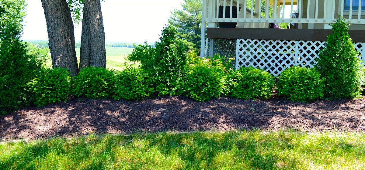 Pictures from a recent <a href="/greenguysia/">The Green Guys</a> mulching project in Waukee!