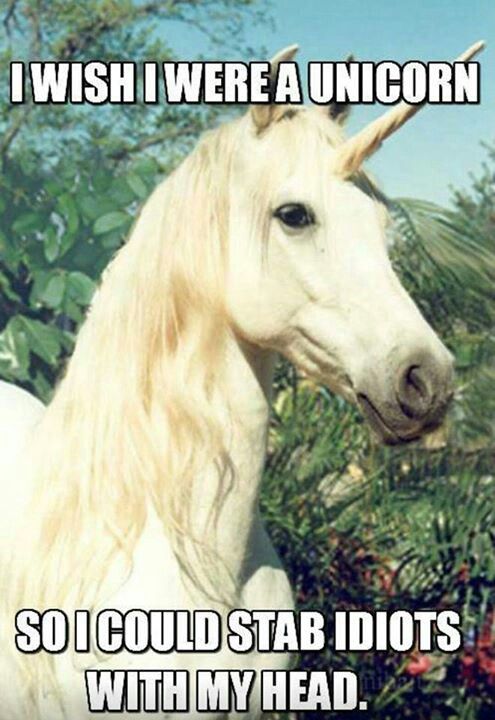 AnimalPicImages tweet picture