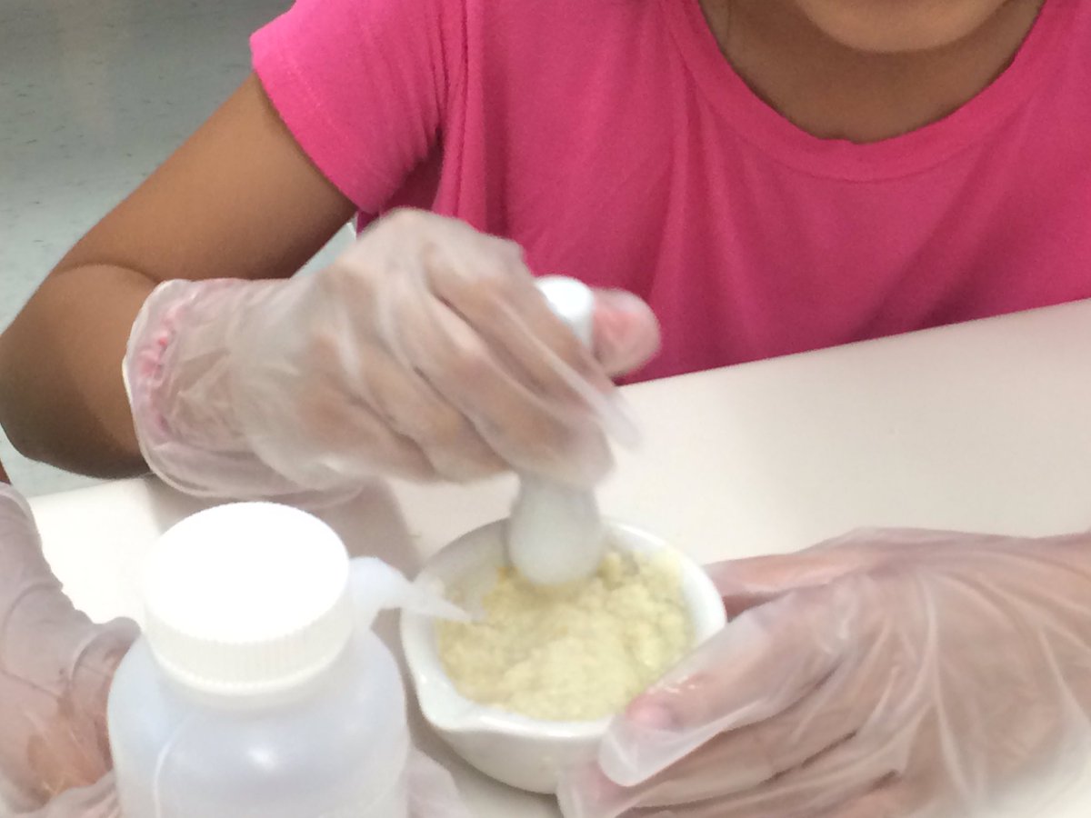 Great day learning about digestion at The Niji Science Centre