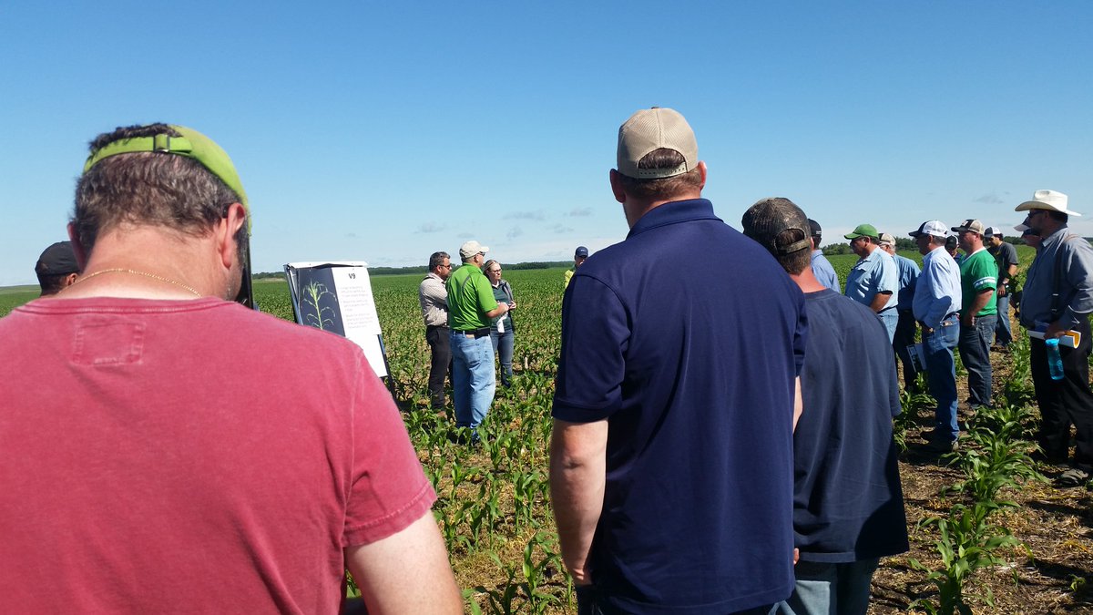 KenDenAg's tweet photo. Gr8 group @PioneerWCanada #corn #agronomy tailgate w @REllisClayton & @heyMurf! #39F44 @ V3-V4 provided perfect demo https://t.co/Z3RB3jT1Fg