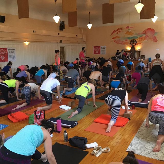 YogaTree's tweet photo. We did it. 92 yogis support this amazing event. #theonelovemovement π·: @yogimisfit https://t.co/w1Bq5g4loz