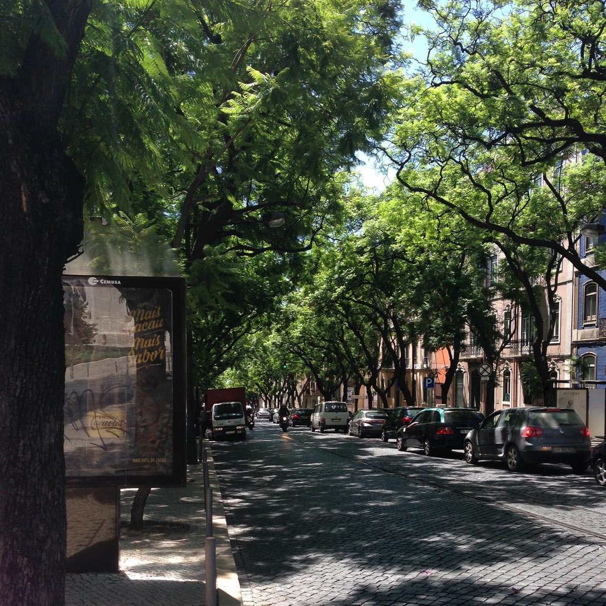 Vissify Co. tweet media