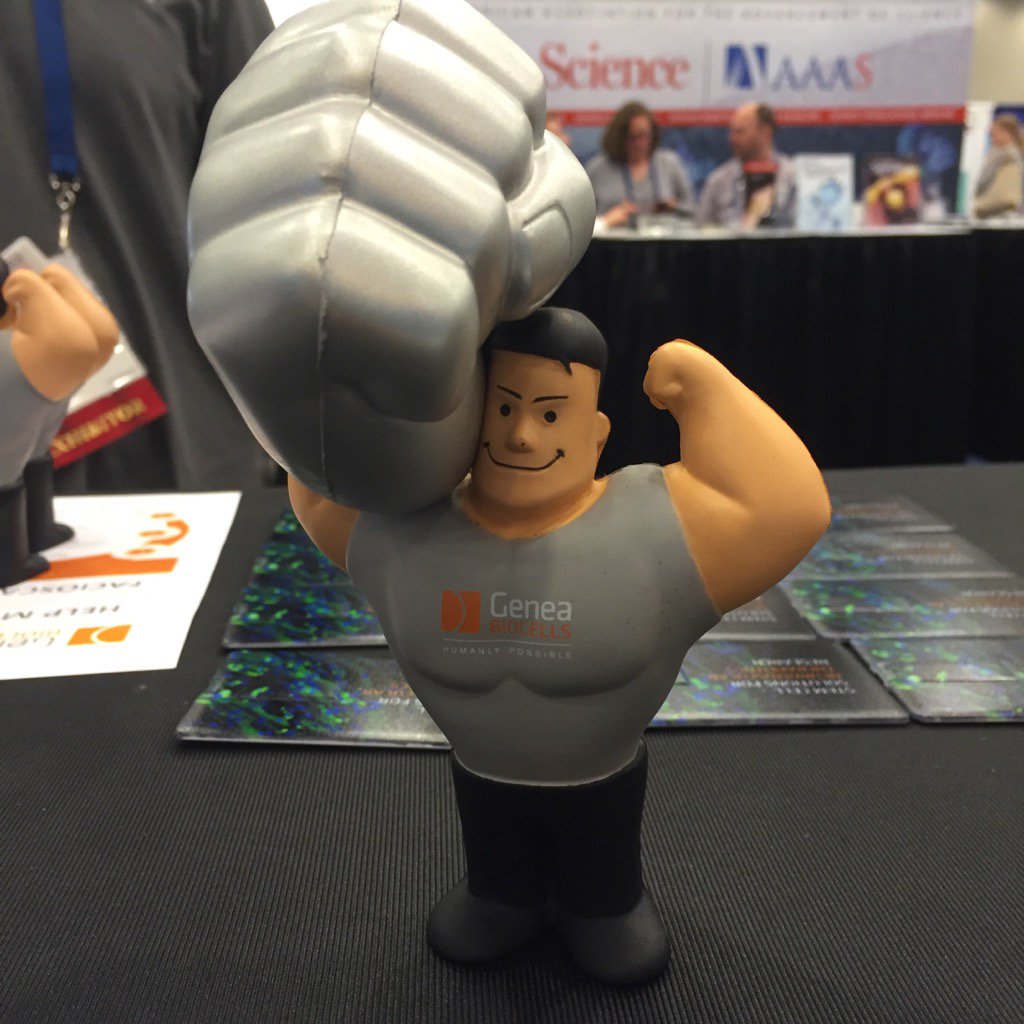 Heather Main tweet media